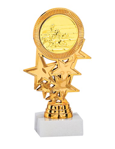 Trophée Personnalisé avec Médaillon - Réf FSP-134-05