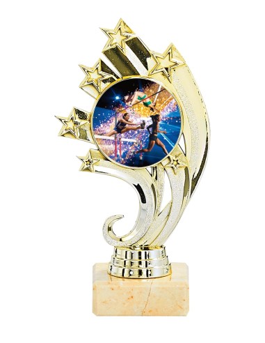 Trophée Personnalisé avec Médaillon - Réf FSP-134-11