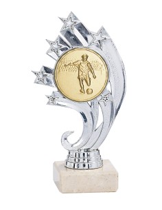 Trophée Personnalisé avec Médaillon - Réf FSP-134-12