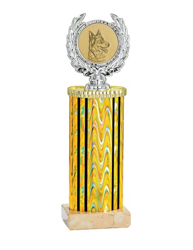 Trophée Personnalisé avec Médaillon - Réf FSP-135-81