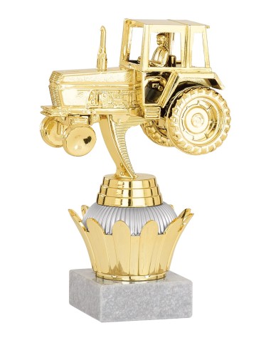 Trophée Personnalisé avec Figurine - Réf FSP-143-01