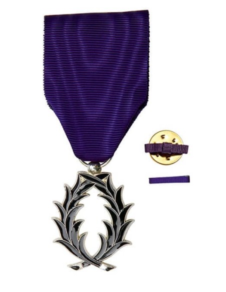 Achetez La Récompense Parfaite : Médaille Ordre Des Palmes Académiques Chevalier - Pac