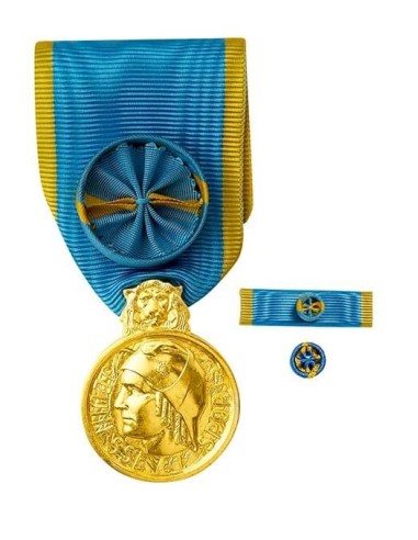 Médaille d’Honneur de la Jeunesse et des Sports, échelon Or en bronze doré. Fixe ruban et barrette dixmude en option.