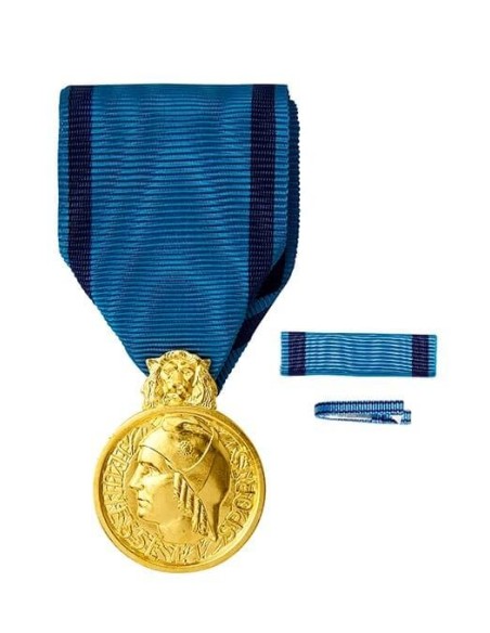 Achetez La Récompense Parfaite : Médaille D’honneur De La Jeunesse Et Sports Bronze - Mhjsb