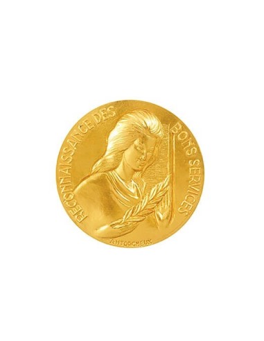 Médaille Or Reconnaissance des Bons Services en bronze doré.