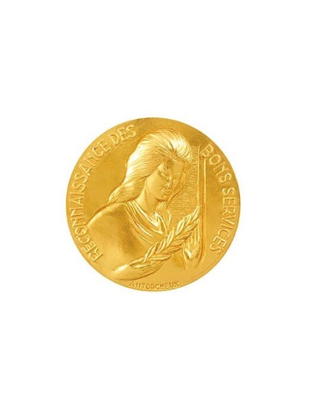 Achetez La Récompense Parfaite : Médaille Or Reconnaissance Bons Services - Rbso
