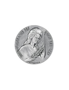 Achetez La Récompense Parfaite : Médaille Argent Reconnaissance Bons Services - Rbsa