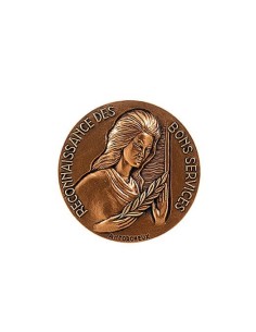 Achetez La Récompense Parfaite : Médaille Bronze Reconnaissance Bons Services - Rbsb