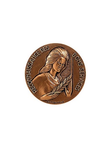 Médaille Bronze Reconnaissance des Bons Services en bronze doré.