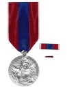 Médaille Défense Nationale Argent 
