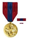 Médaille Défense Nationale Bronze 