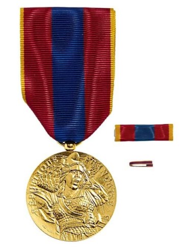 Médaille Défense Nationale Vermeil en bronze doré. Fixe ruban et barrette dixmude en option