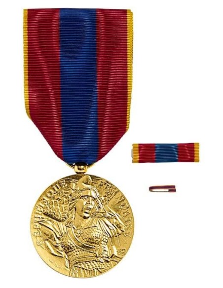 Achetez La Récompense Parfaite : Médaille Défense Nationale Vermeil - Mdnv
