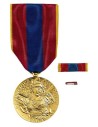 Médaille Défense Nationale Vermeil 