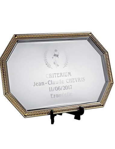 Achetez La Récompense Parfaite : Trophée Plateau Métal - Px4066