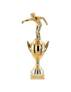 Trophée or avec sujet au choix | Récompense de Qualité | TP4798