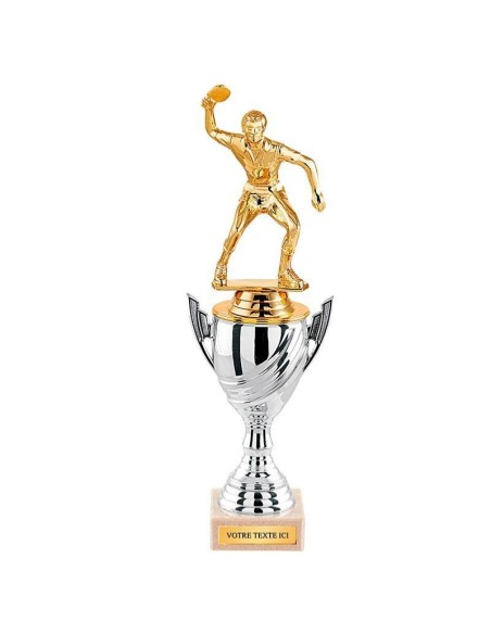 Trophée argent avec sujet au choix | Récompense de Qualité | TP4799