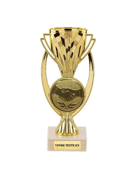 Trophée abs | Récompense de Qualité | TP4831