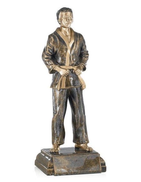 Trophée judo | Récompense de Qualité | FSP-20305