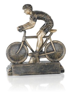Trophée vtt | Récompense de Qualité | FSP-52502