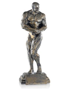 Trophée musculation masculin | Récompense de Qualité | FSP-52504