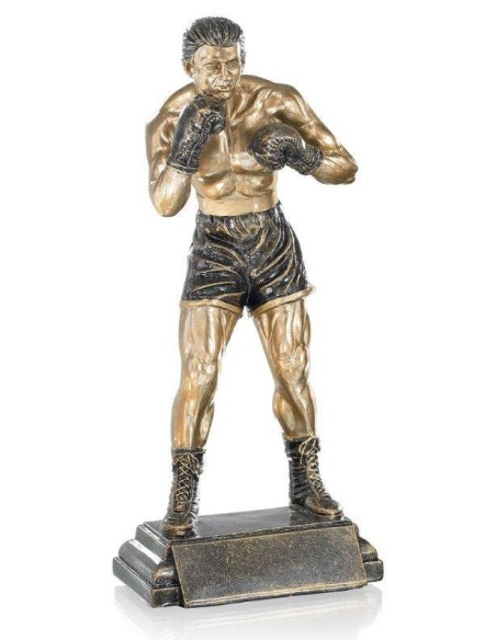 Trophée boxe | Récompense de Qualité | FSP-52535