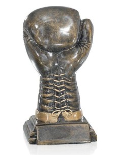 Trophée boxe | Récompense de Qualité | FSP-52536