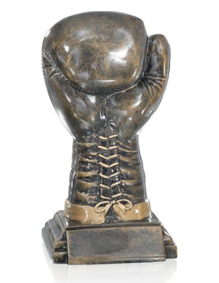 Trophée boxe | Récompense de Qualité | FSP-52536