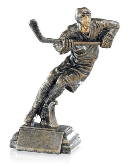 Trophée hockey | Récompense de Qualité | FSP-52576
