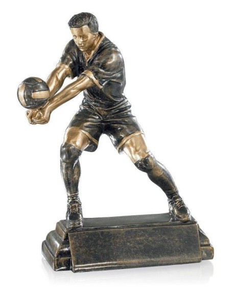 Trophée volley homme | Récompense de Qualité | FSP-52577