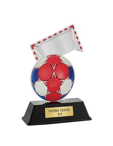 Achetez La Récompense Parfaite : Trophée Handball - Pn031