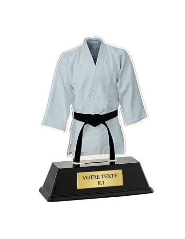 Trophée judo 16cm 