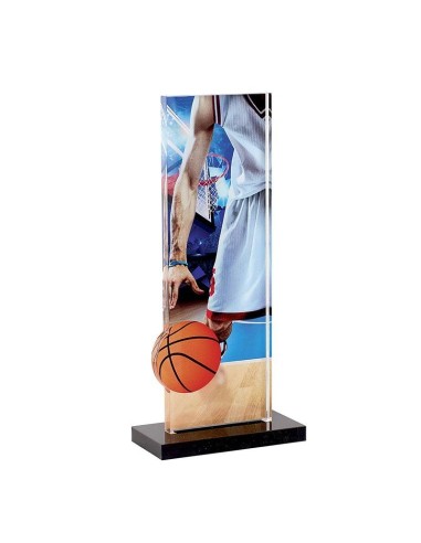 Trophée Basket 22cm 