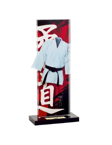 Trophée Judo 22cm 