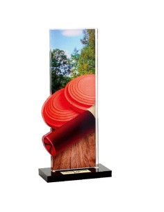 Trophée ball-trap | Récompense de Qualité | PN083