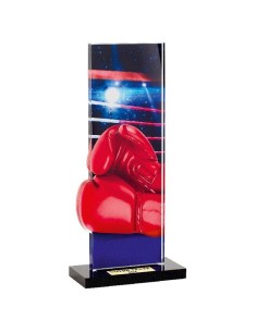 Trophée boxe | Récompense de Qualité | PN085