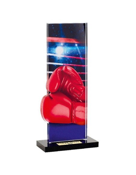 Trophée boxe | Récompense de Qualité | PN085