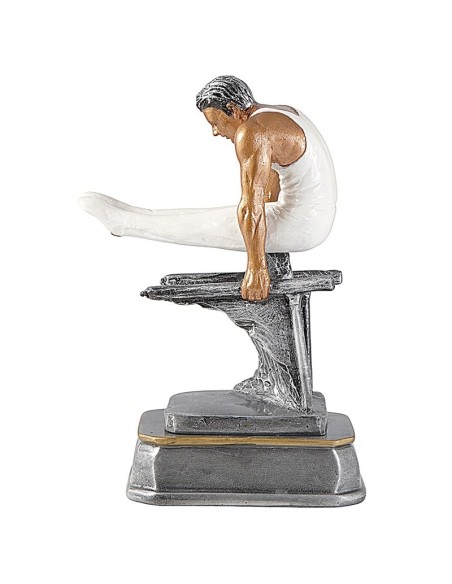 Trophée gym masculin | Récompense de Qualité | RS0454