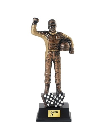 Trophée résine Pilote - 3 tailles disponibles

Bronze : hauteur 20 cm

Argent : hauteur 22 cm

Or : hauteur 25 cm