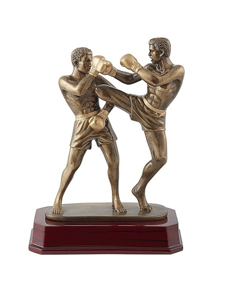 Trophée kickboxing | Récompense de Qualité | RS0781