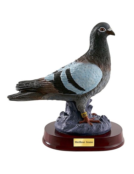 Trophée pigeon | Récompense de Qualité | RS0910B