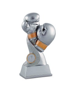 Trophée boxe | Récompense de Qualité | RS1747
