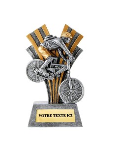 Trophée vtt | Récompense de Qualité | RS3570