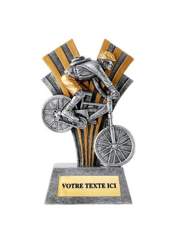 Achetez La Récompense Parfaite : Trophée Vtt - Rs3570