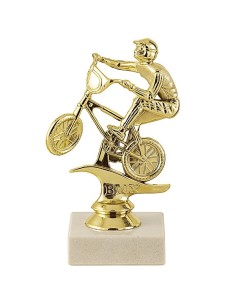Trophée sujet abs or bicross | Récompense de Qualité | SJ010-MSJ