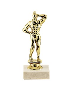 Trophée sujet abs or body building feminin | Récompense de Qualité !