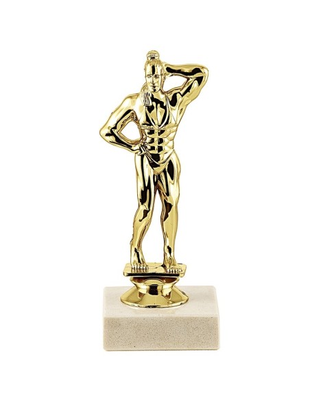 Trophée sujet abs or body building feminin | Récompense de Qualité !
