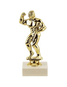 Trophée sujet abs or body building masculin | Récompense de Qualité !