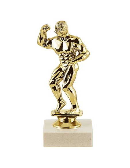 Trophée sujet abs or body building masculin | Récompense de Qualité !