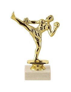 Trophée sujet abs or boxe thaï | Récompense de Qualité | SJ018-MSJ